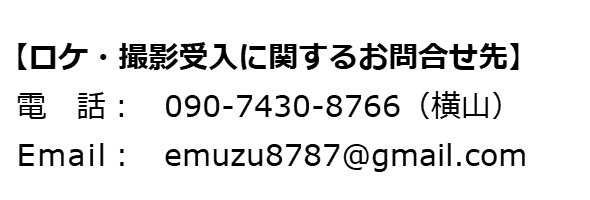 メールアドレス、電話番号